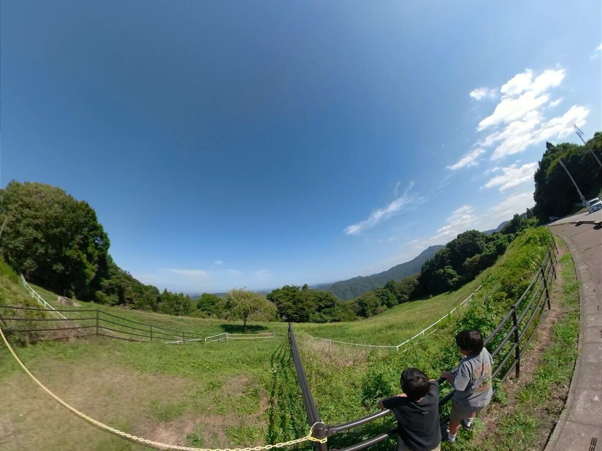 草原